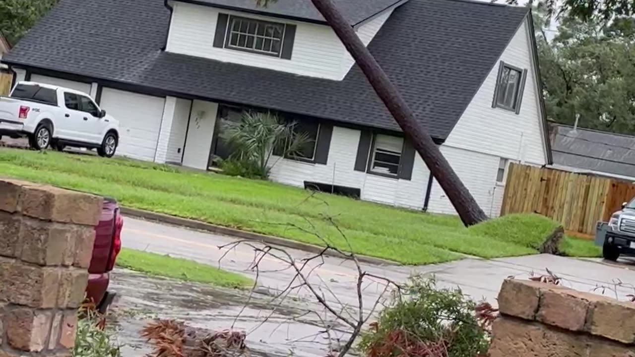 Uprooted Tree Lands on Pickup