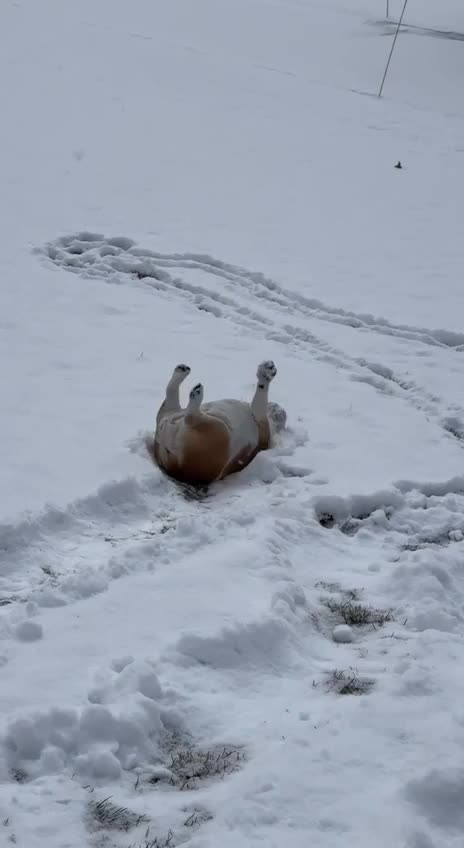 Enjoying some winter activities