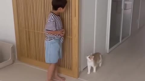 Playing cat