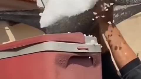 BRASILEIRO TEM QUE SER ESTUDADO