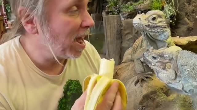 Sharing is caring, but leave the sharing with reptiles to me! 🍌