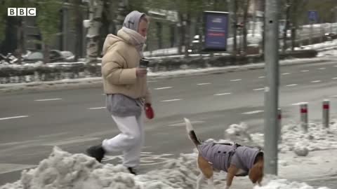 Ukraine's Zelensky asks Ukrainians to consider leaving country before winter - BBC News