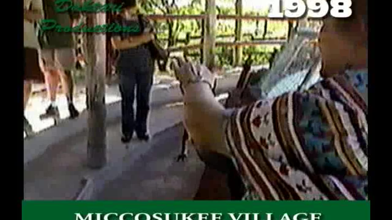 1998 M10 Viaje a Miami - Miccosukee Indian Village - Demonstración de un cocodrilo