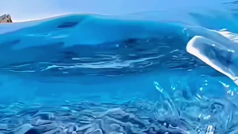 The sea thundered against rocks.