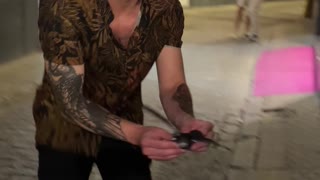 Confused Bird Flies into a Wall