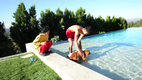 100 PETS