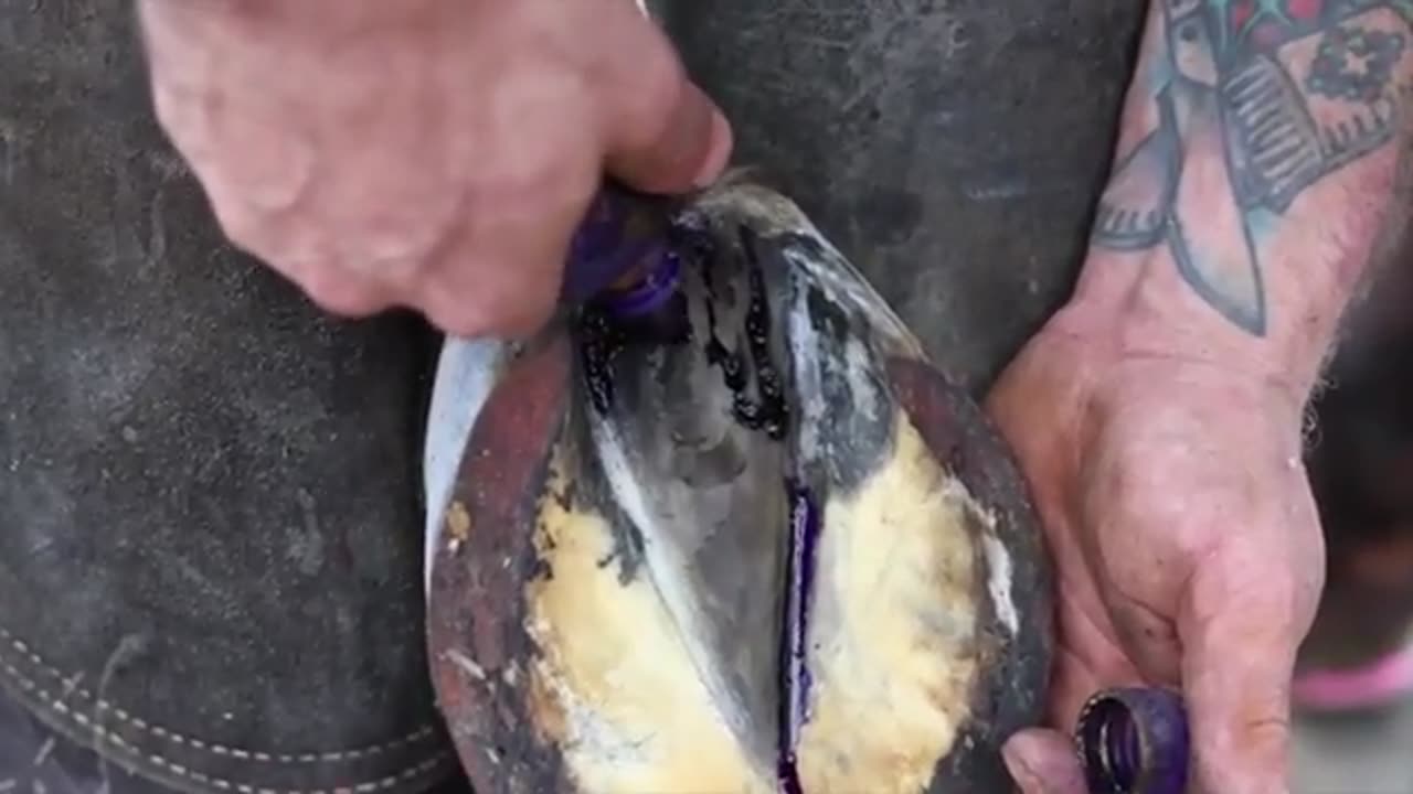 Satisfying Full Horse Hoof Restoration | 4K FARRIER ASMR