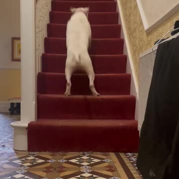 It’s one way to go upstairs