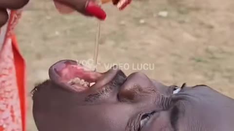 Hold back the laughter || funny videos