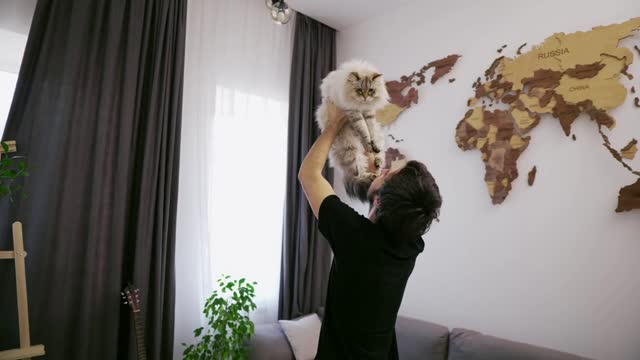 A young man plays with a cat and holds it and toss up