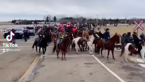 Coutts Alberta, Freedom Cowboy convoy