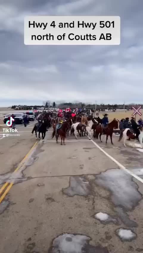 Coutts Alberta, Freedom Cowboy convoy