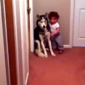Baby scared of vacuum runs to dog for protection