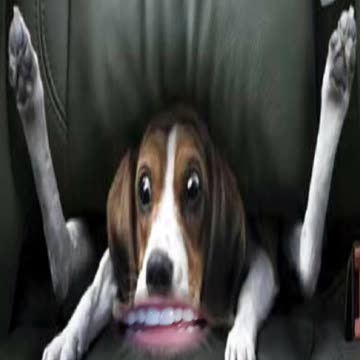 Don't leave me... No, not like this!!!