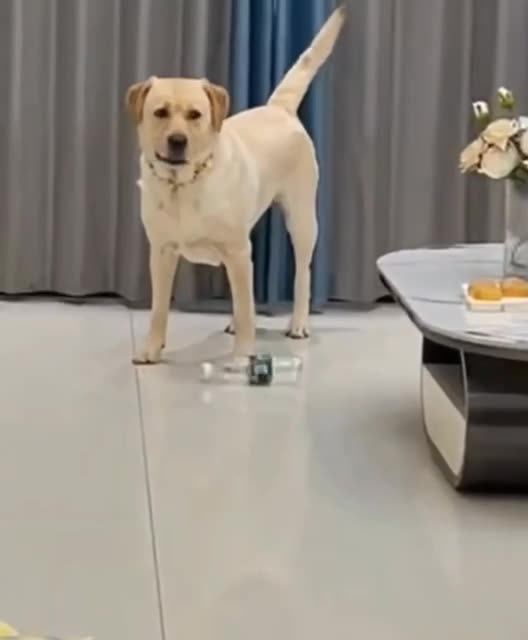 Love those hide and seek games 😂🤣