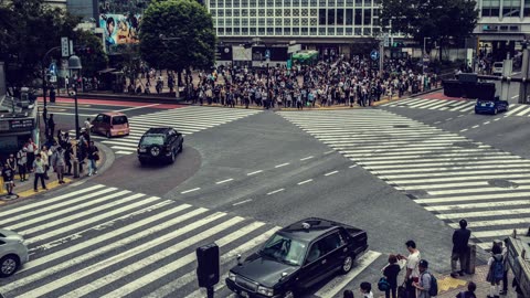 Pedestrian Crossings - (Timelapse) #tokyo #timelapse