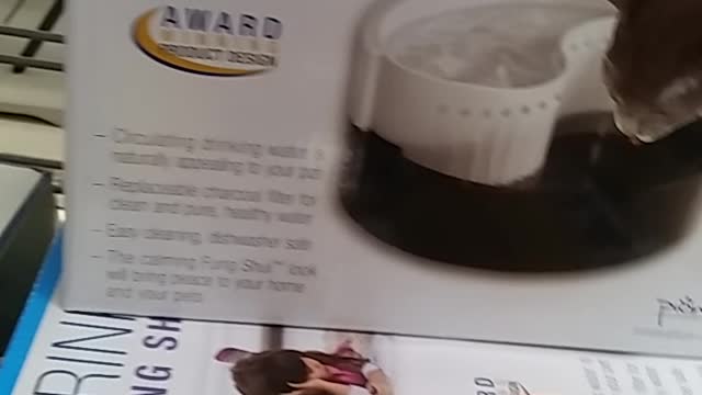 studio city playing elevators