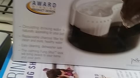 studio city playing elevators