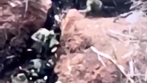 22 Russians Surrender at Once(Adivka)