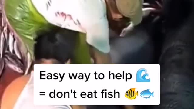 Fishing bycatch is a massive