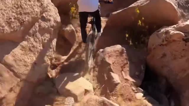 1721# MTB Flying Monkey Trail is pure