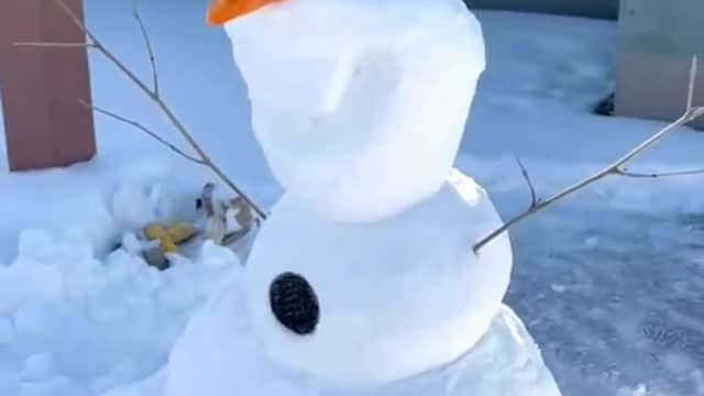 Has it snowed in your country?#viral #diy