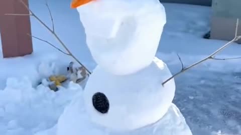 Has it snowed in your country?#viral #diy