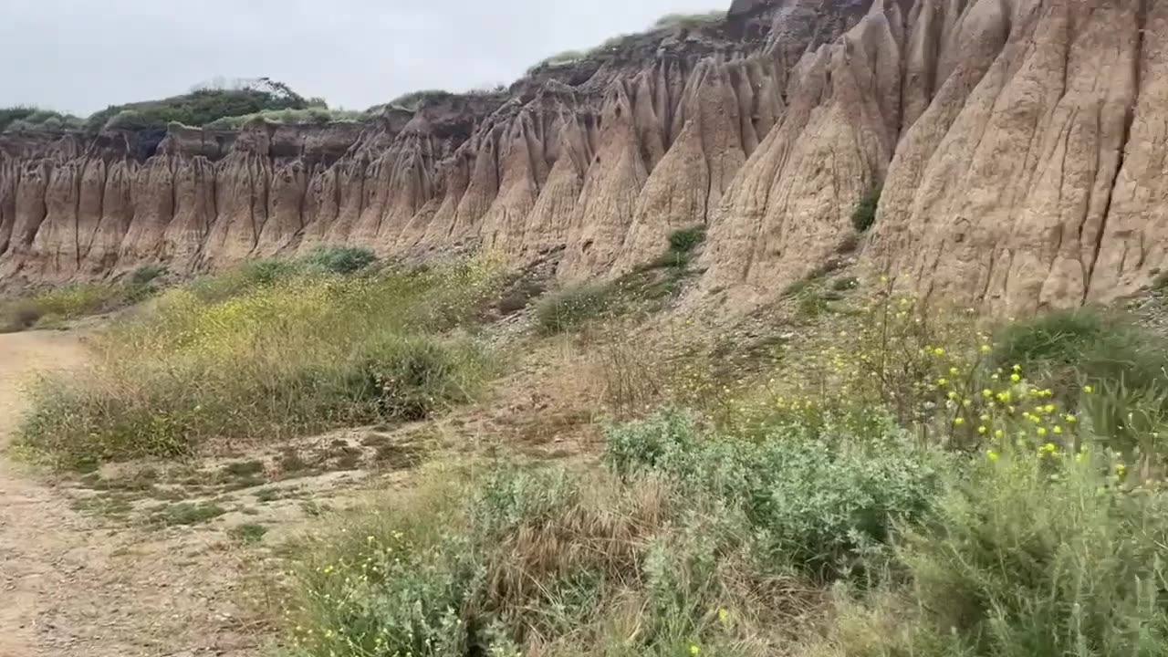 San Onofre (Cloudy. Aw, a dying bird!) (Sat 5/11/24 — 2hr, 20m)