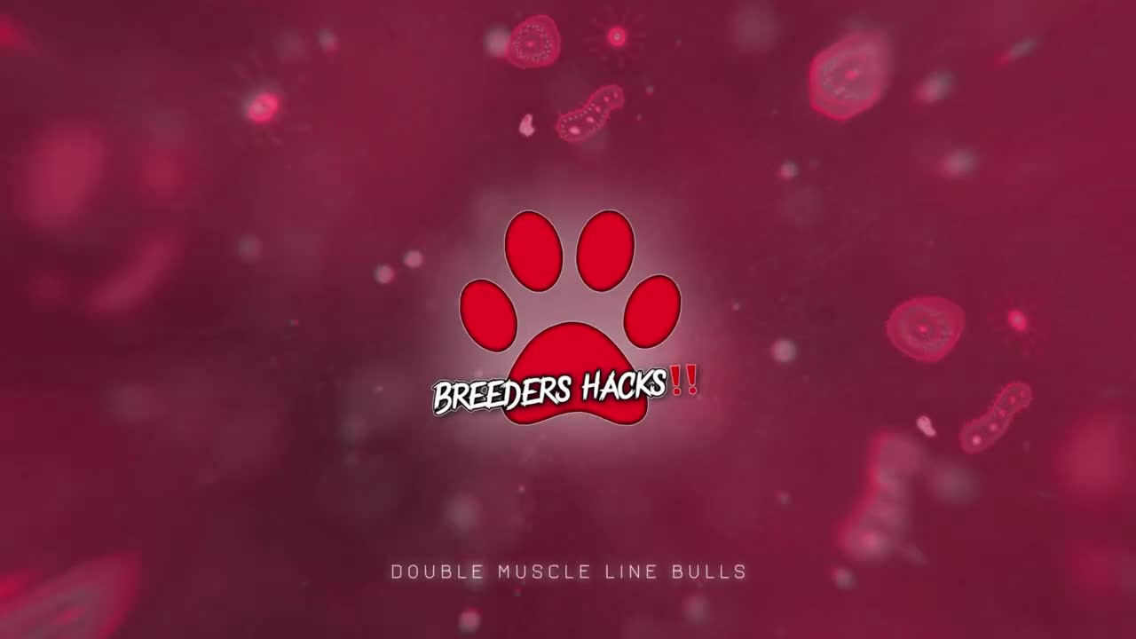 Dog breeding Questions & Answers (Episode #3) - Breeders Hacks