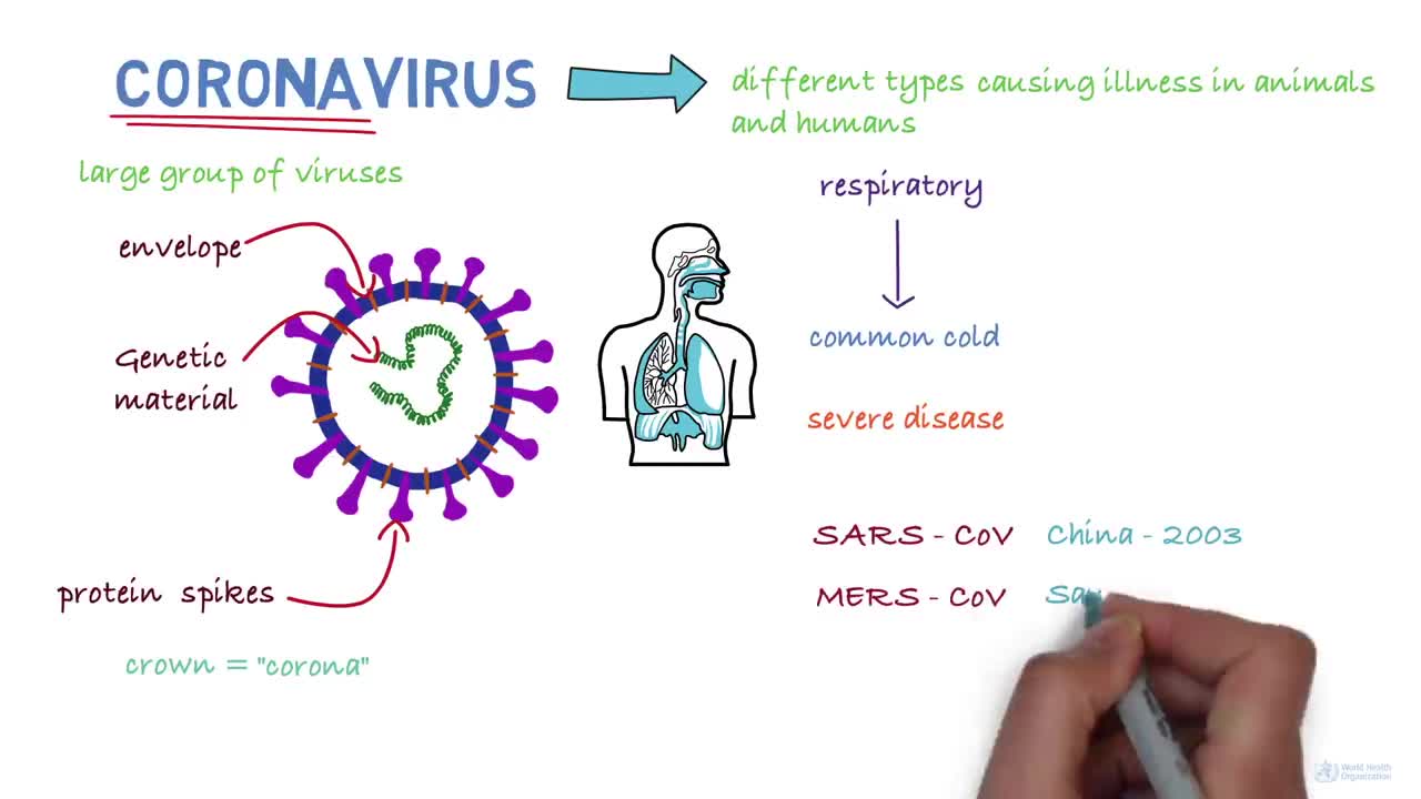 Coronavirus disease COVID 19