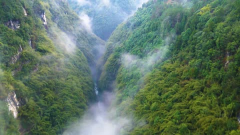 Fog in the mountains