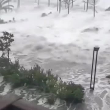 🇺🇸 |🌀 Hurricane Milton has begun its destructive onslaught.