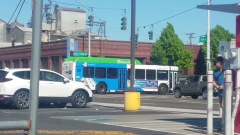 Pierce Transit 2022 Gillig CNG 10175