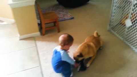 21 second funny video
