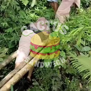 DONT YOU DARE LAUGH CHALLENGE | #3