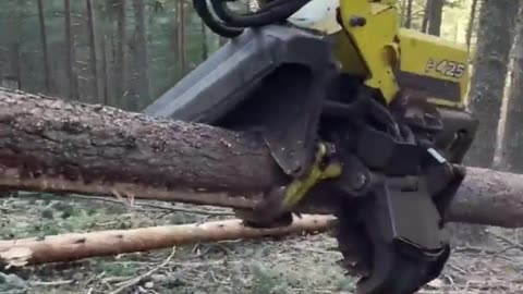 Harvester 1270g Tree Processing 🌲🚜 #Legend