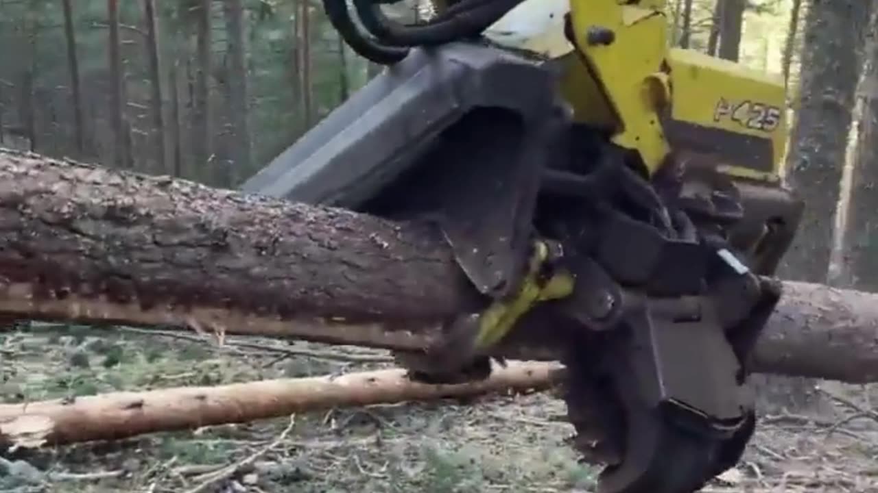 Harvester 1270g Tree Processing 🌲🚜 #Legend