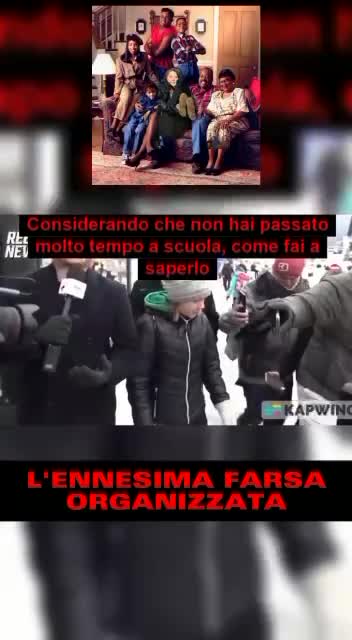 GRETA incontra un VERO giornalista e dimostra di essere ..