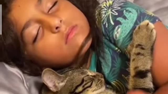 Sleeping Cat Quacks When His Owner Coughs