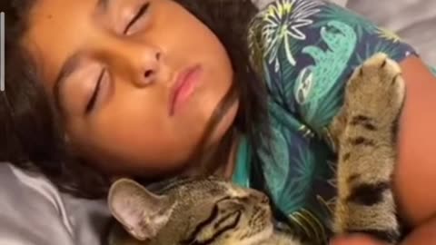 Sleeping Cat Quacks When His Owner Coughs