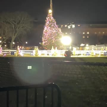Biden Admin DESPERATELY Tries To Keep The White House Christmas Tree From Falling Over