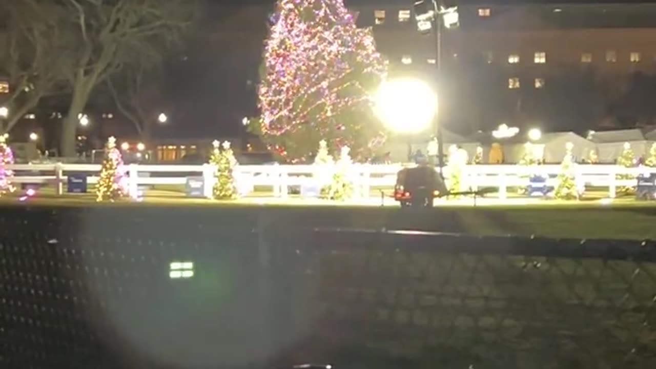 Biden Admin DESPERATELY Tries To Keep The White House Christmas Tree From Falling Over