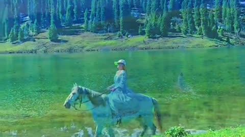 When the flowers bloom in spring, I will accompany you to see the grassland