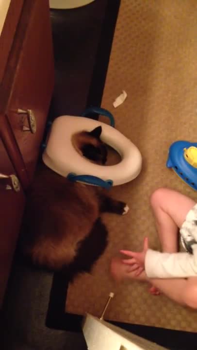 The Most Patient Cat In The World