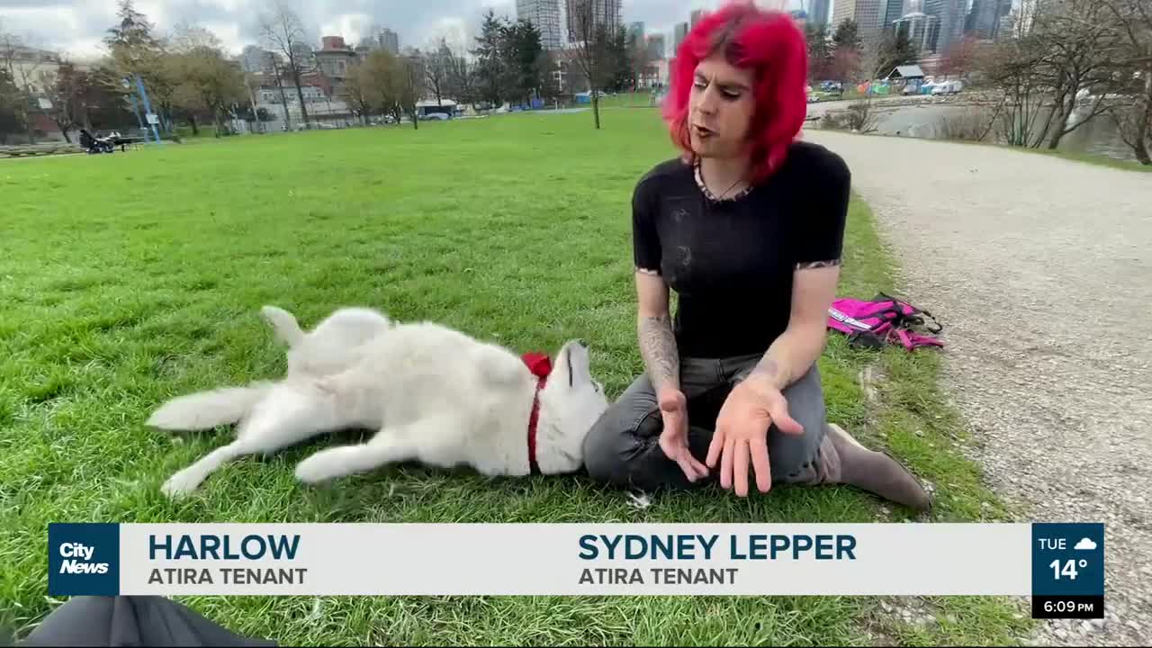 Supportive housing launches pet program for tenants in Vancouver
