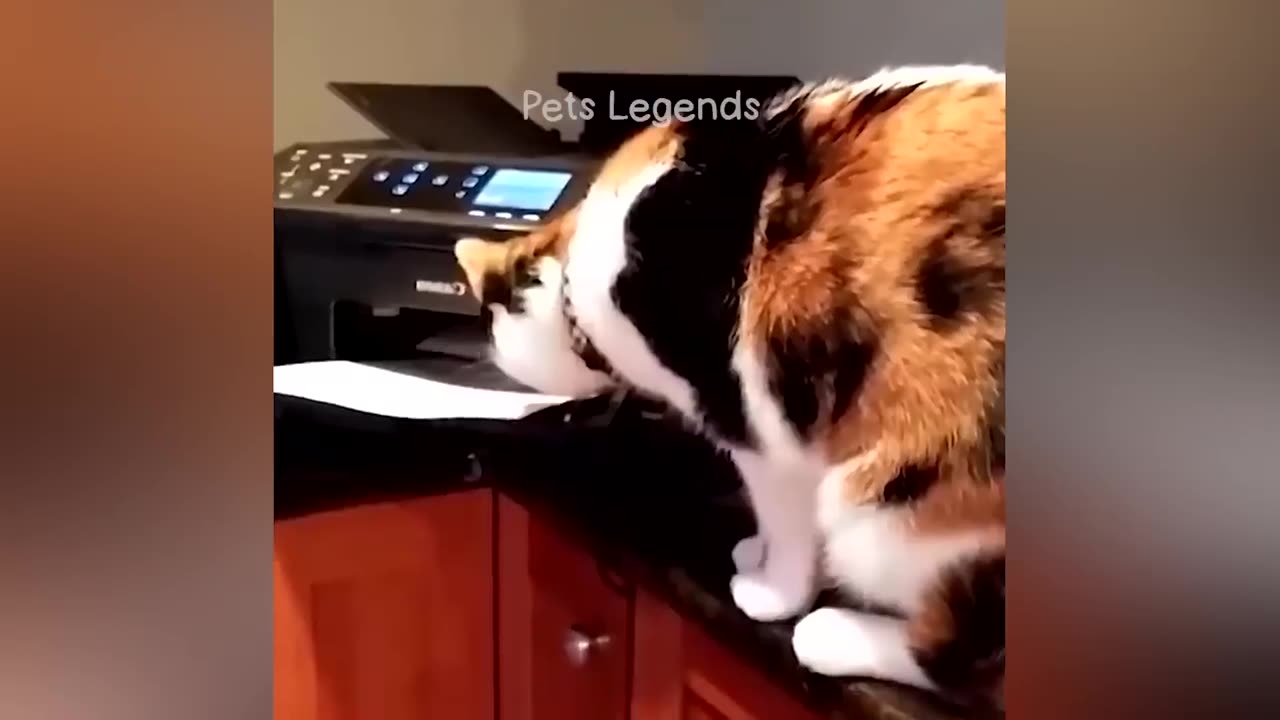 funny