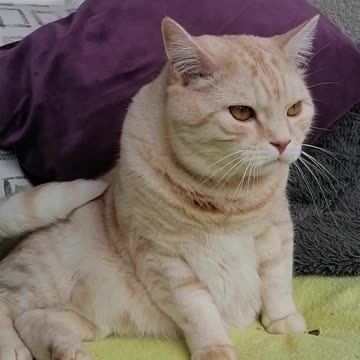 Lik it like itz Hot ;-)