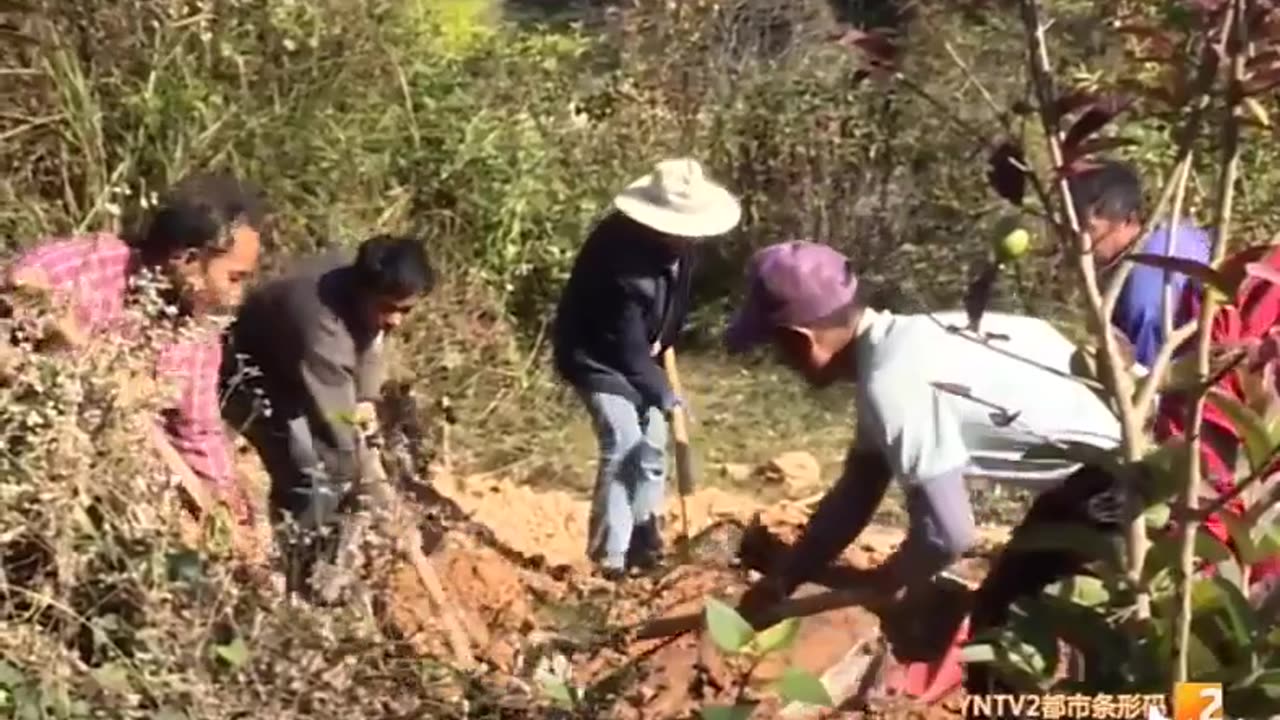 Xi Jinping is hiring 87,000 agriculture police officers, and they're coming for Chinese farmers.