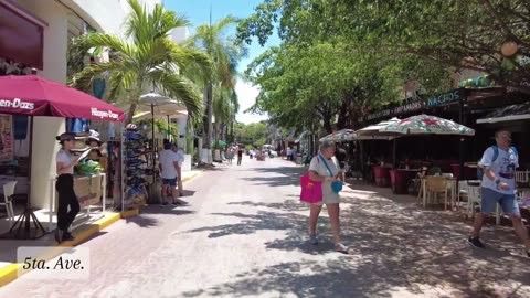 5th avenue - Playa del Carmen - Quintana Roo- HD