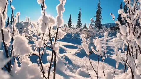 These new ice crystals sparkle like diamonds ❄️💙
